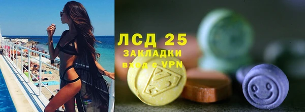 дживик Абаза
