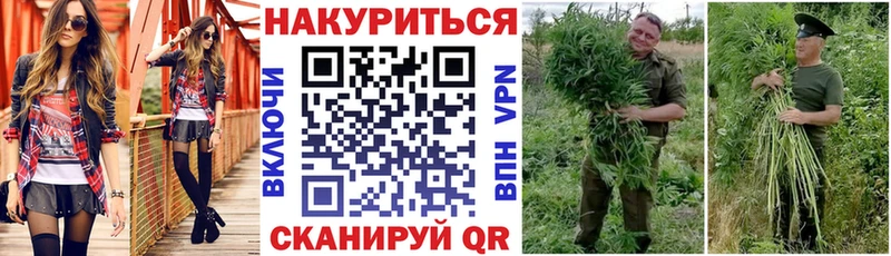 Канабис ГИДРОПОН мориарти официальный сайт Эртиль